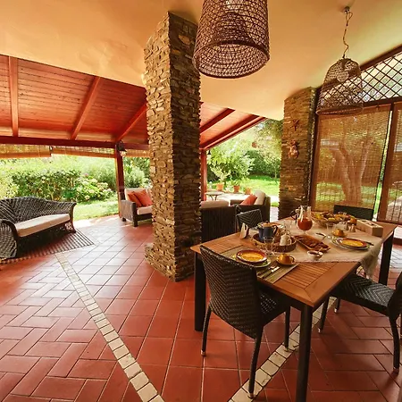 Patrizia Villa *
